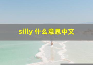 silly 什么意思中文